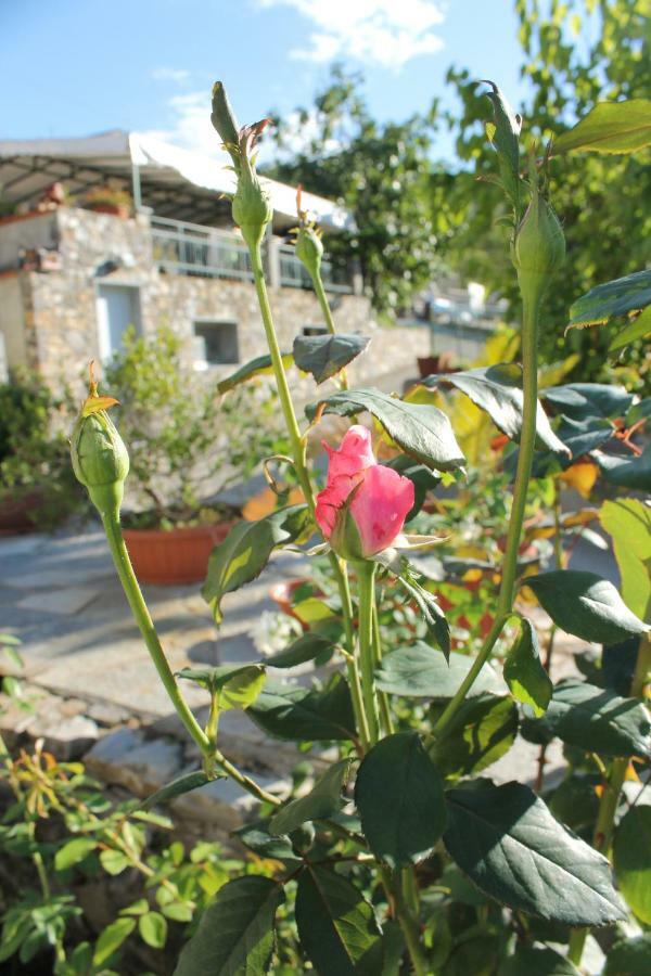 ג'נובה B&B Ca Dei Fre מראה חיצוני תמונה